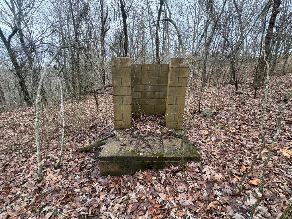 Image 8