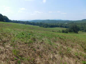 Image 13