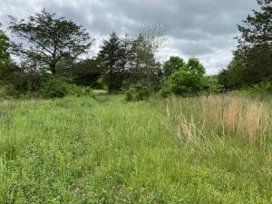 Image 14