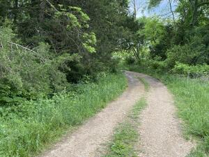 Image 15