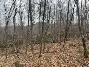 Image 14