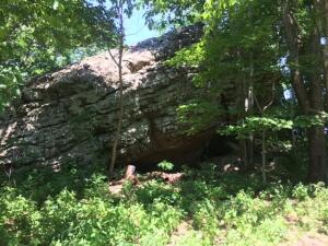 Image 19
