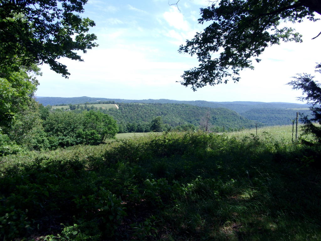 Image 15