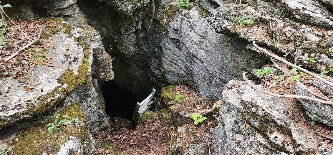 Image 53