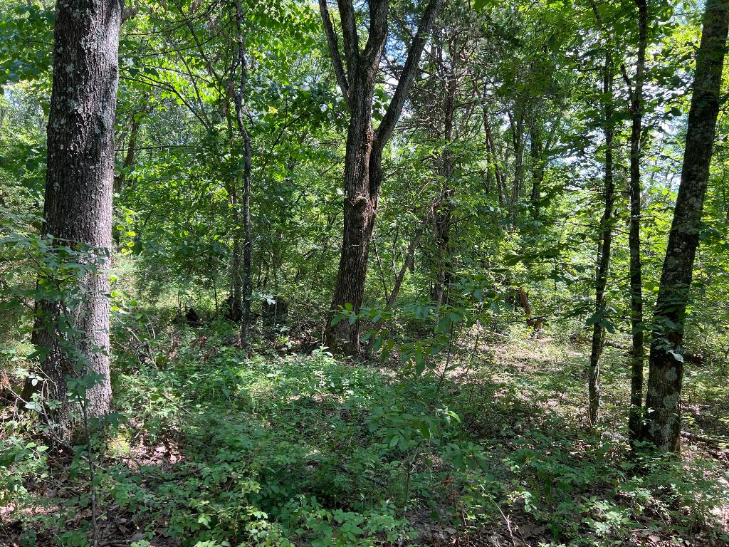 Ozark Haven Realty property-listing-thumbnail