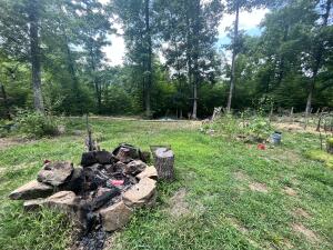 Image 14