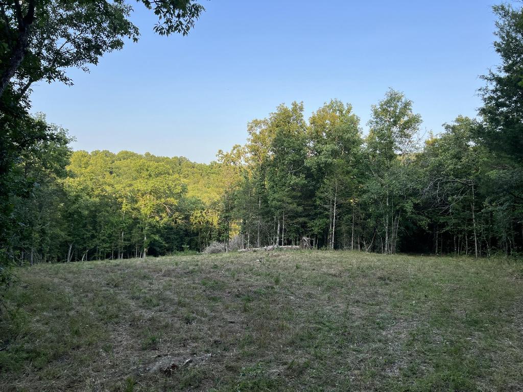 Ozark Haven Realty property-listing-thumbnail