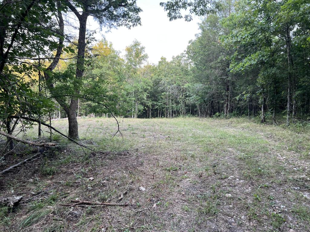 Image 8