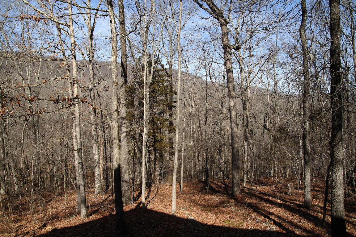 Image 12