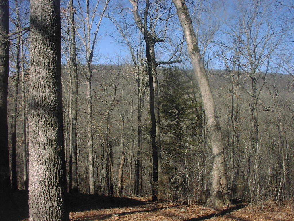 Image 19