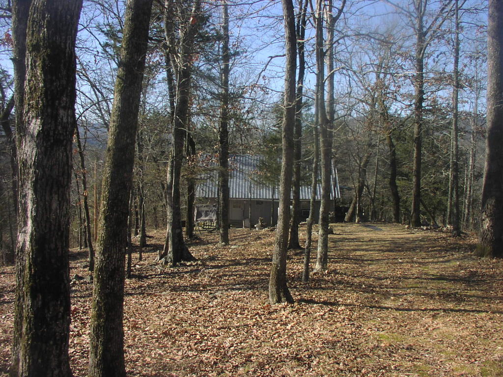 Image 6