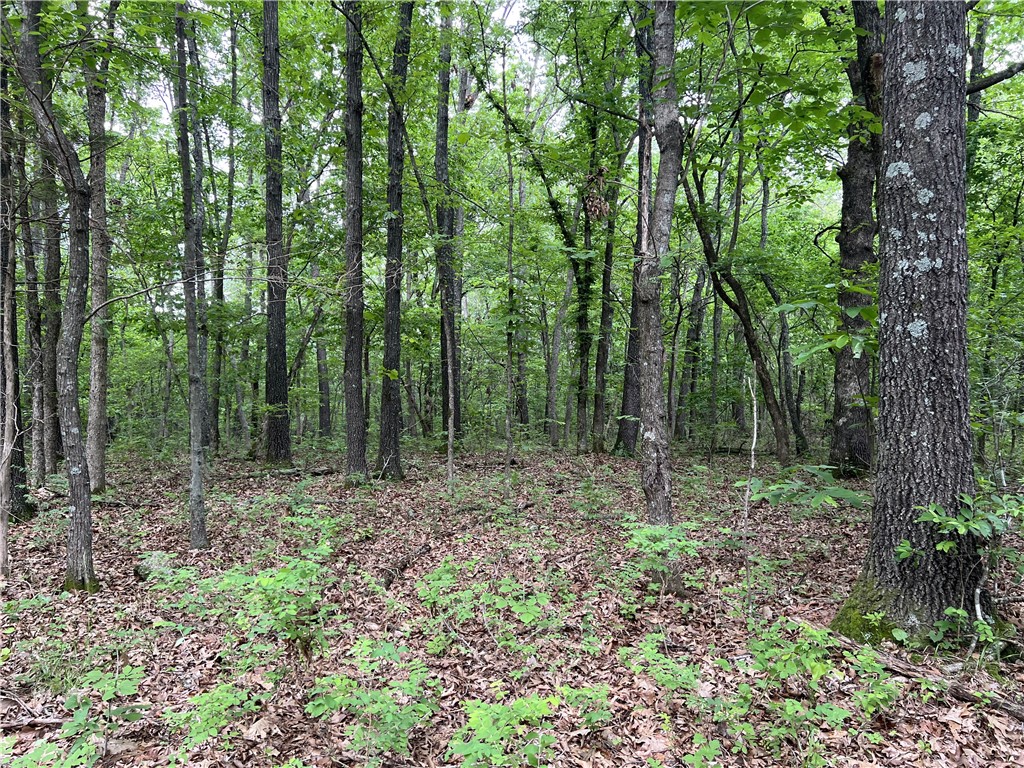 Ozark Haven Realty property-listing-thumbnail