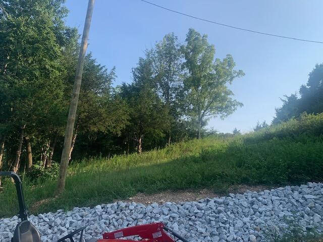 Image 13