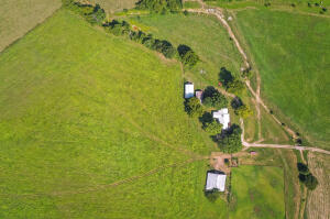 Image 63