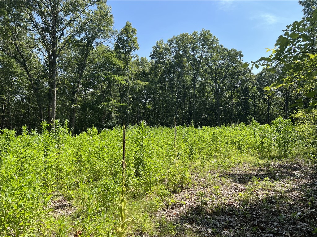 Ozark Haven Realty property-listing-thumbnail