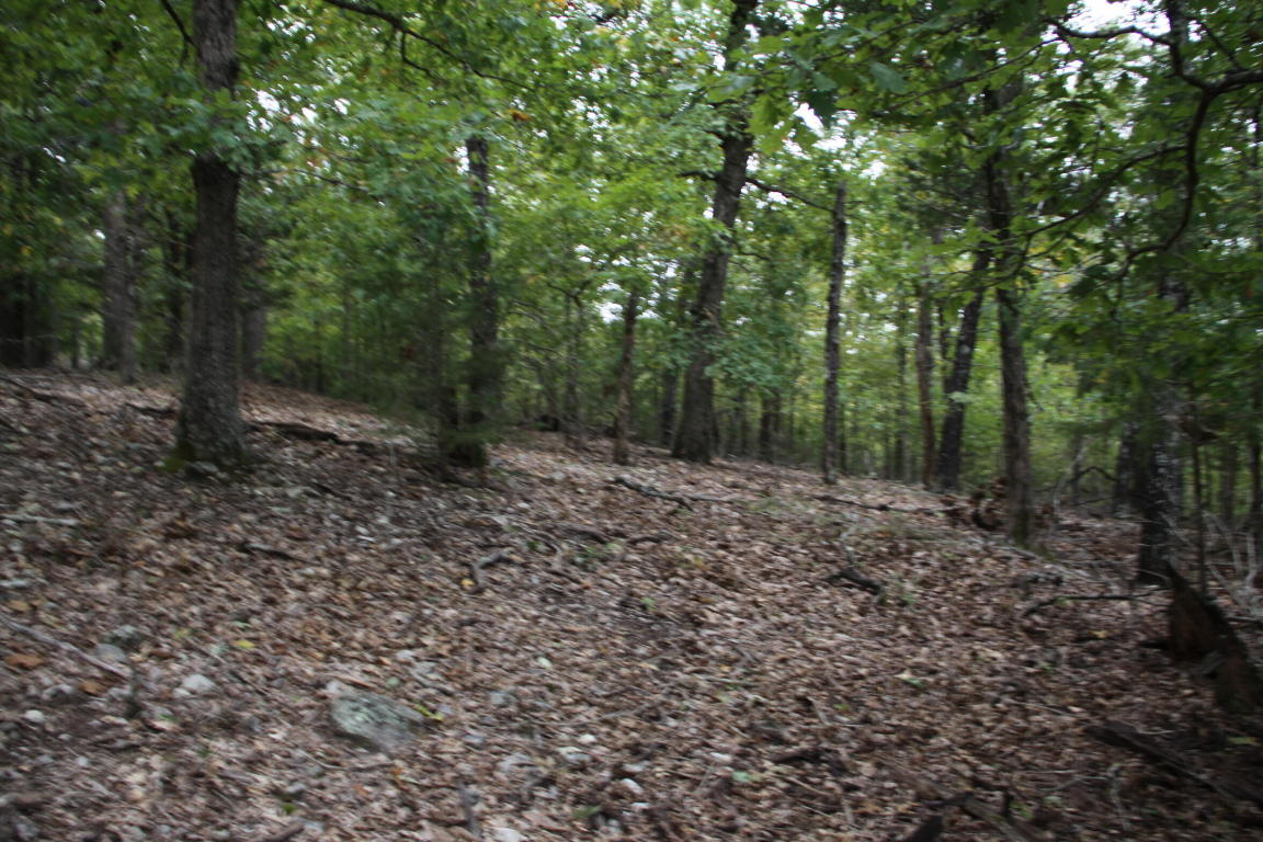 Image 8