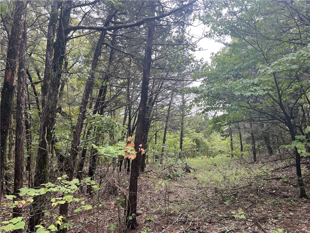 Ozark Haven Realty property-listing-thumbnail