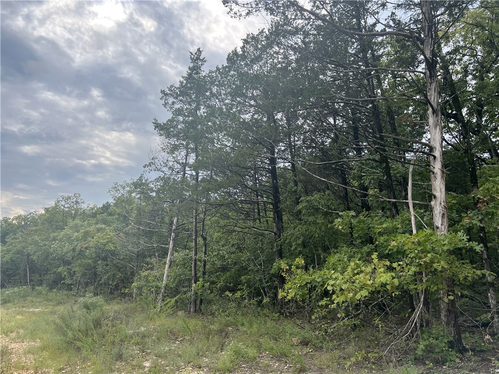 Image 10