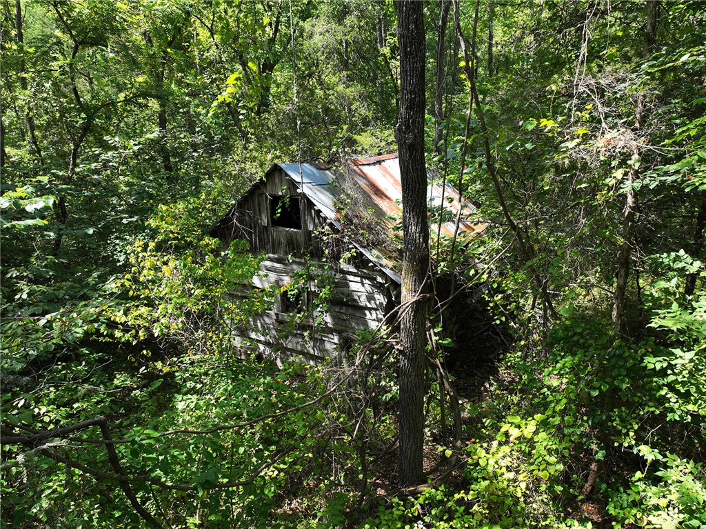 Image 12