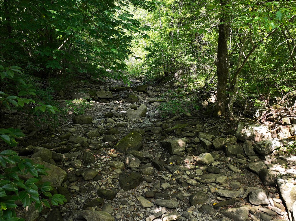 Image 14