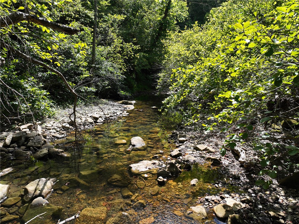 Image 18
