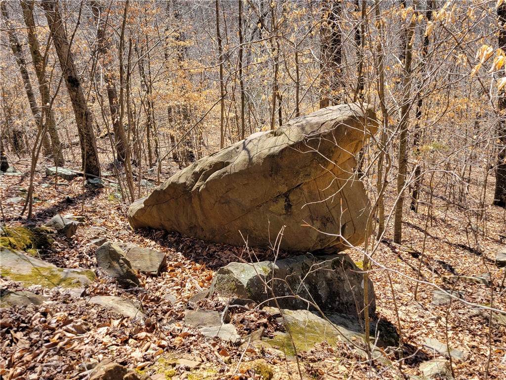 Image 22