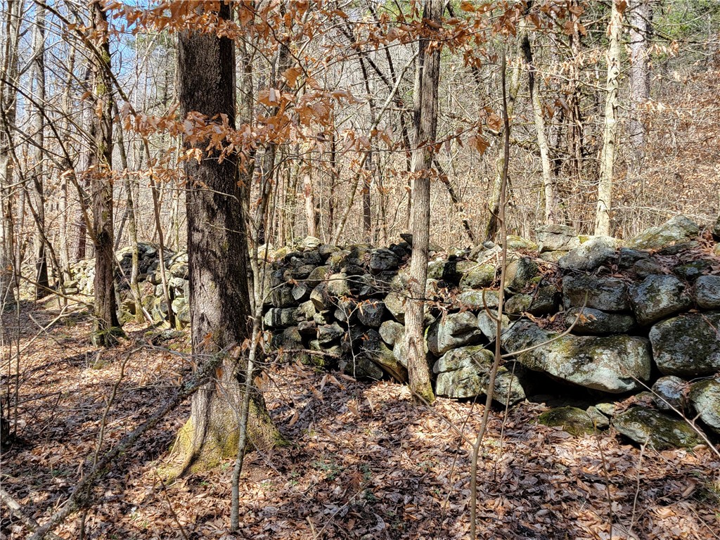 Image 30