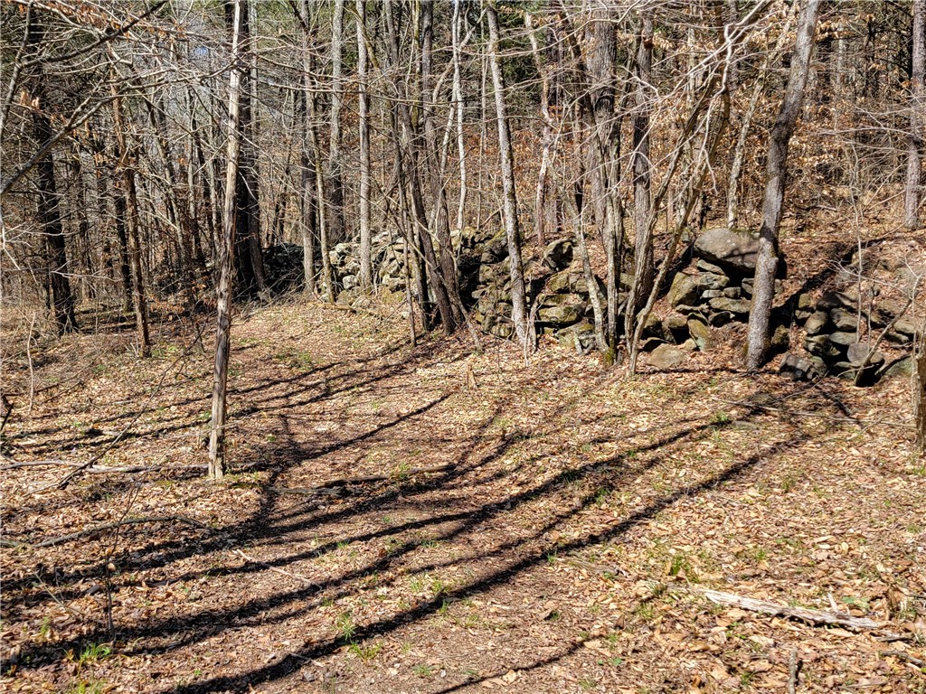 Image 31