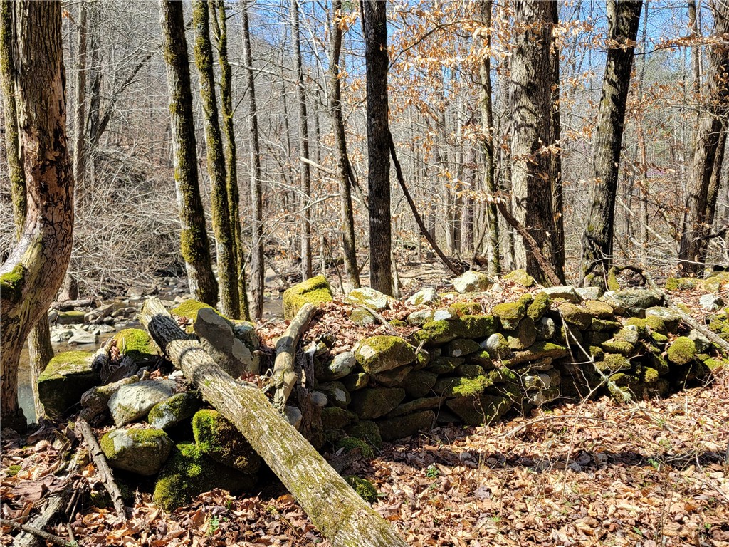 Image 32