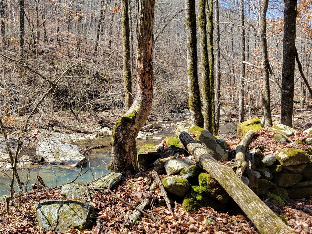 Image 33