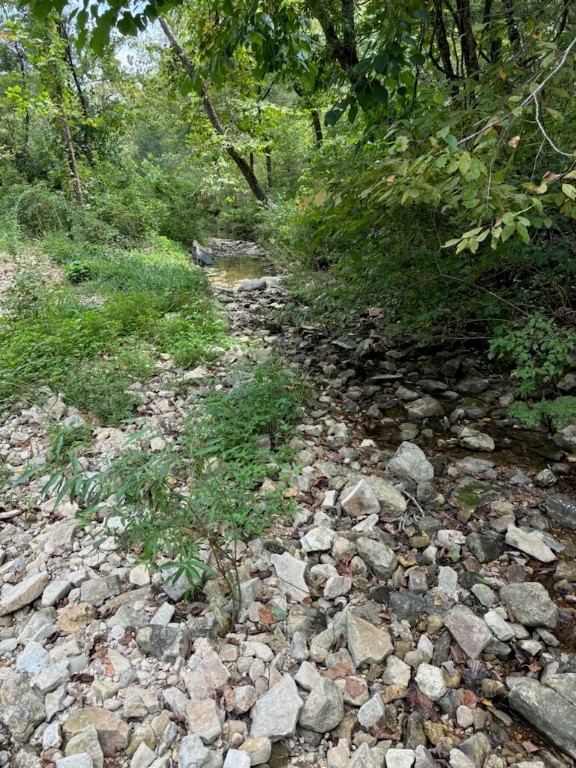 Image 54