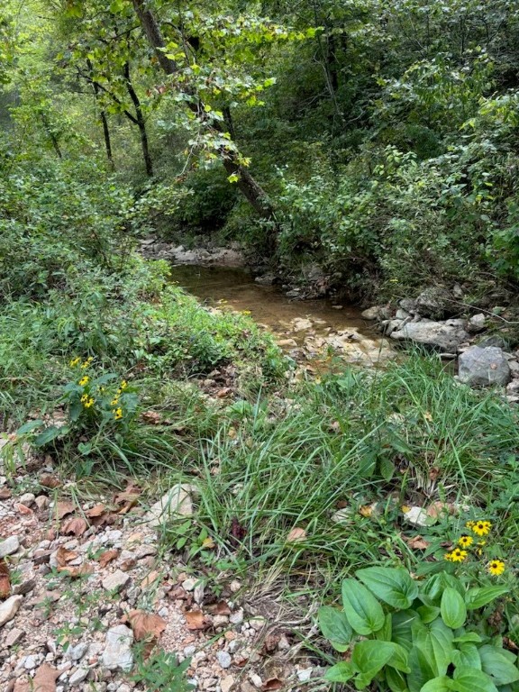 Image 56
