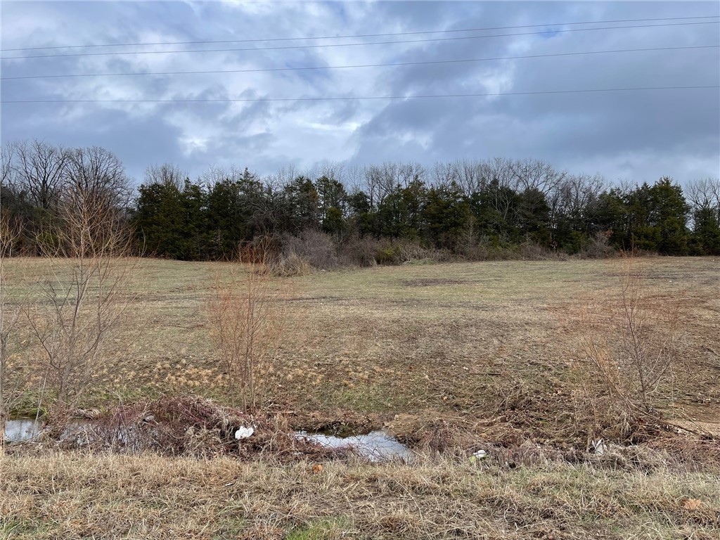 Image 9