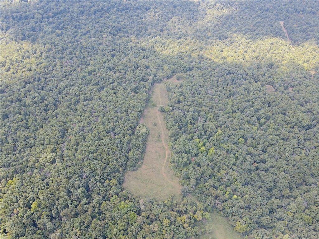 Image 15