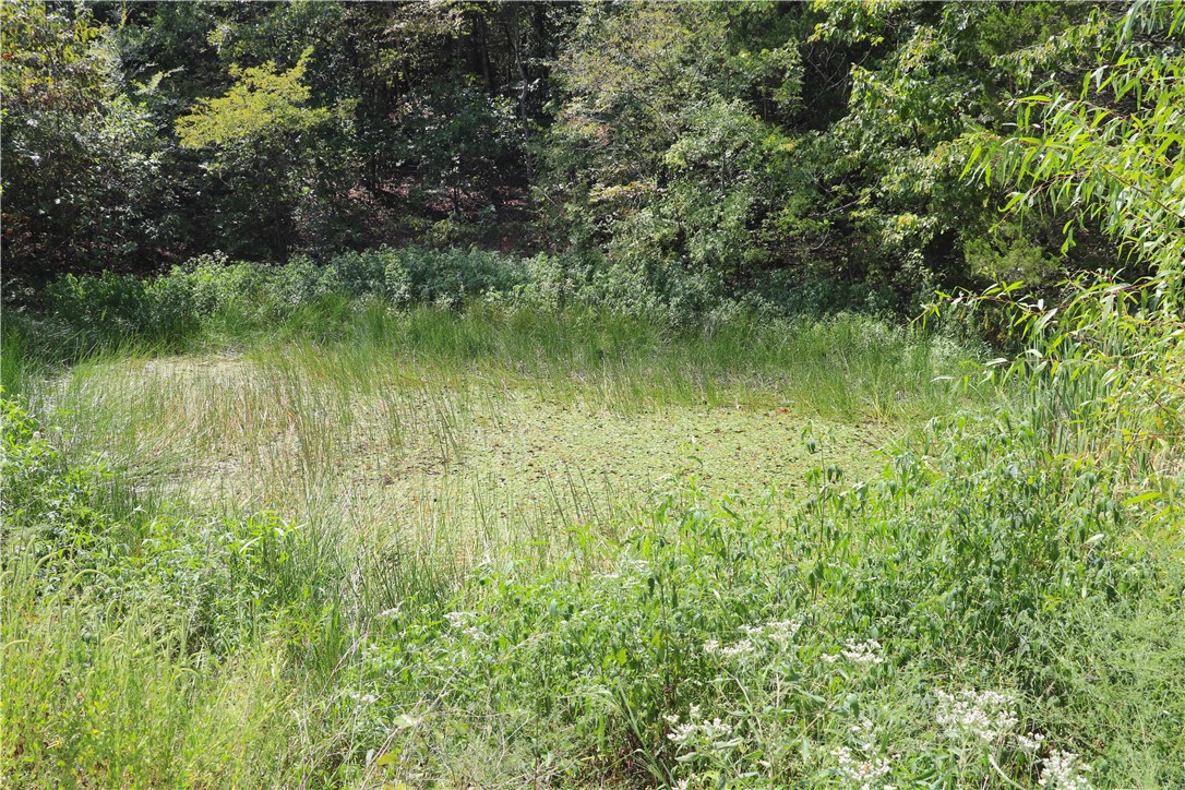 Image 30