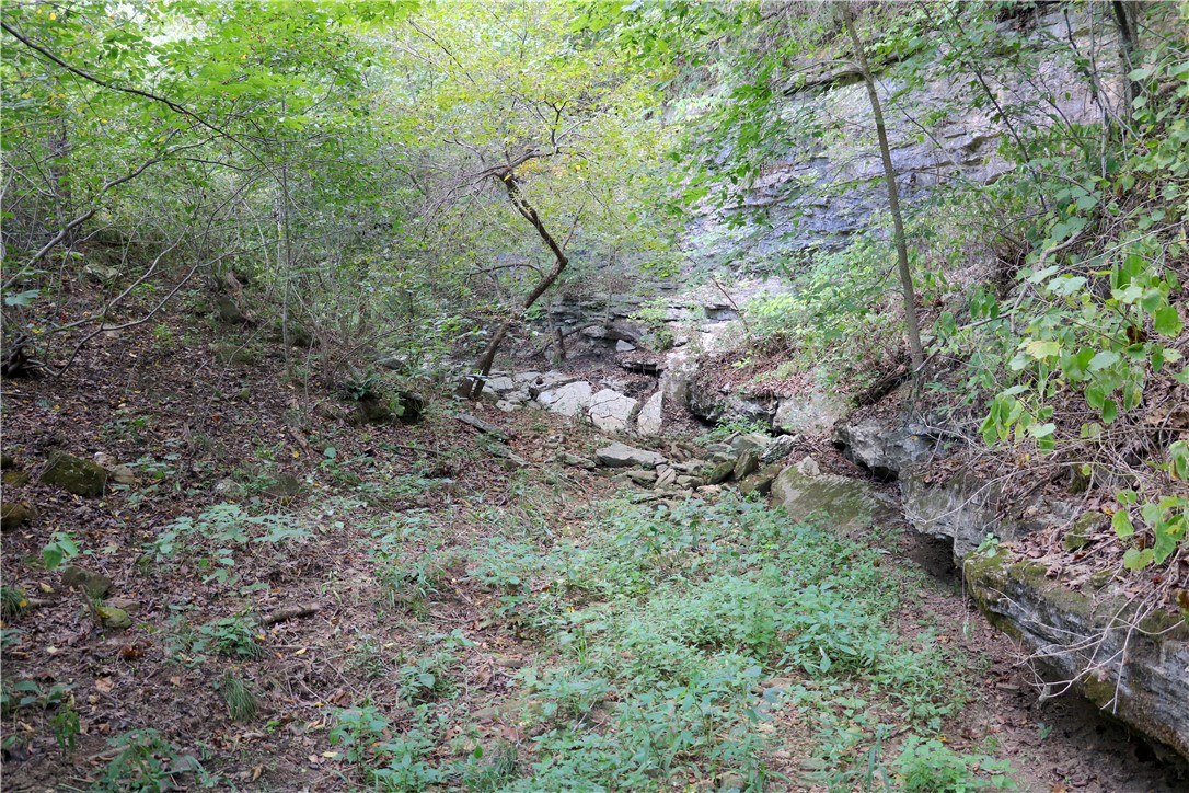 Image 34