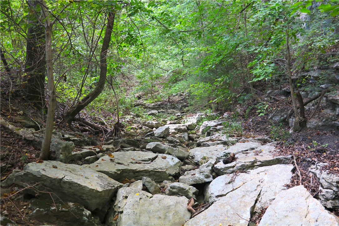 Image 35