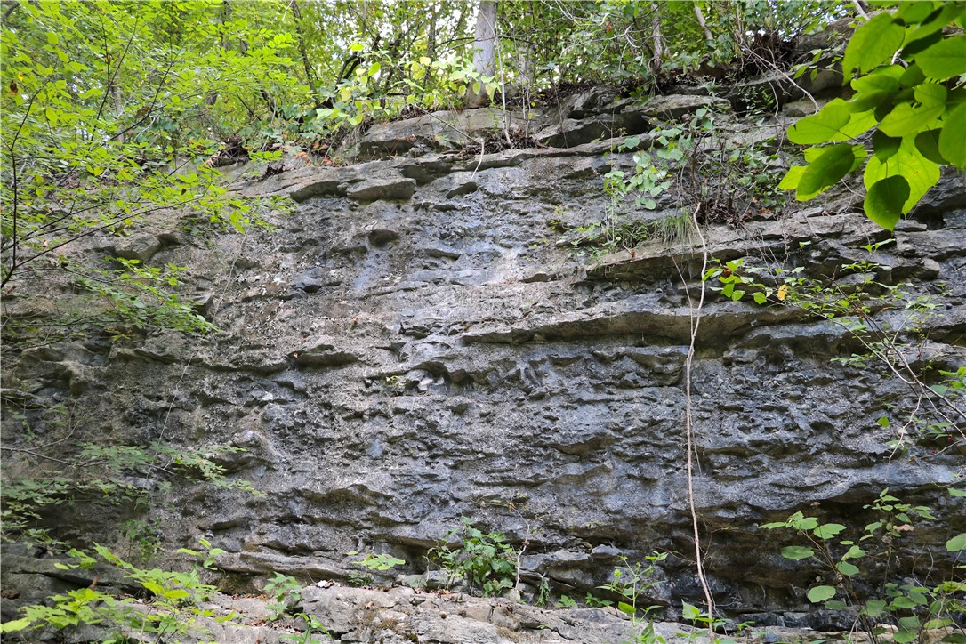 Image 36