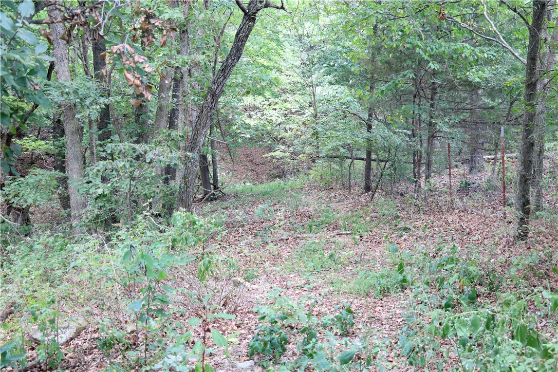 Image 37