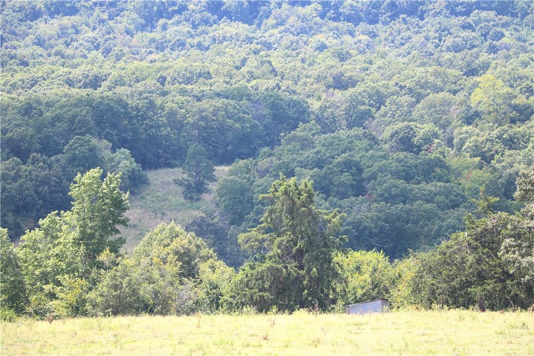 Image 44