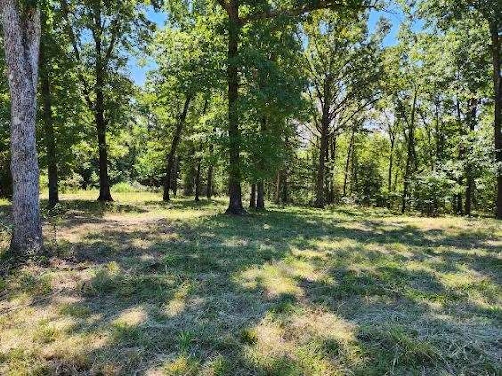 Image 10