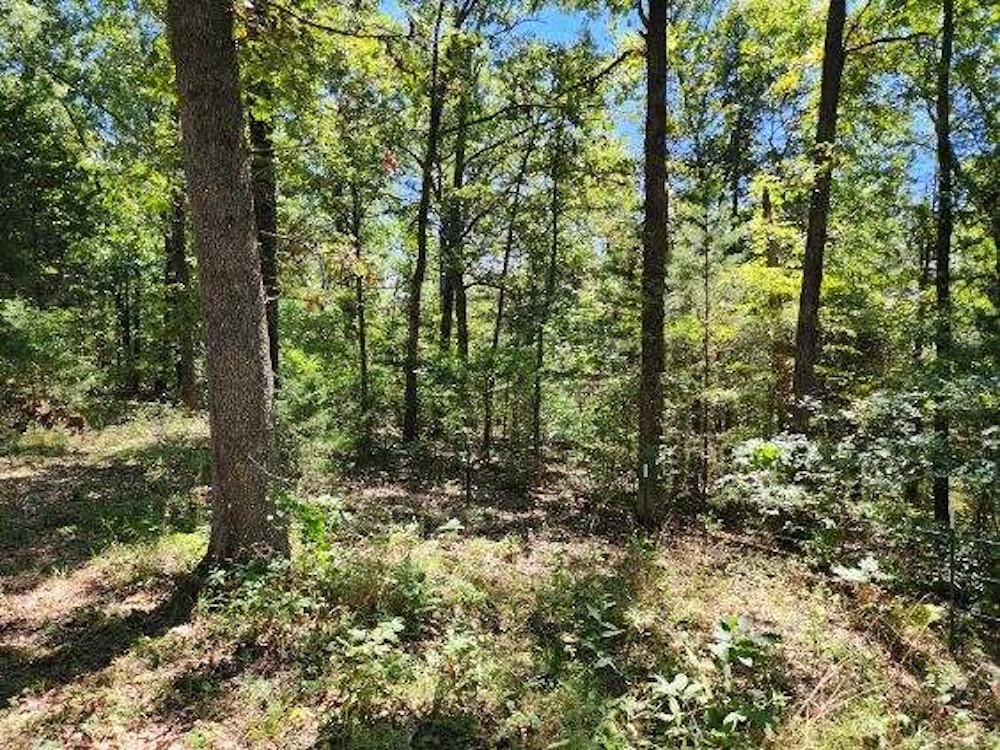 Image 12