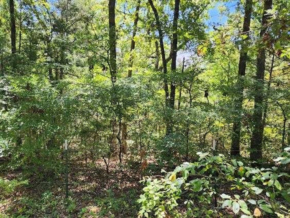 Image 14