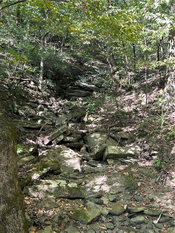 Image 13