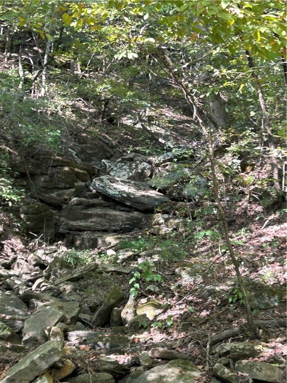 Image 14