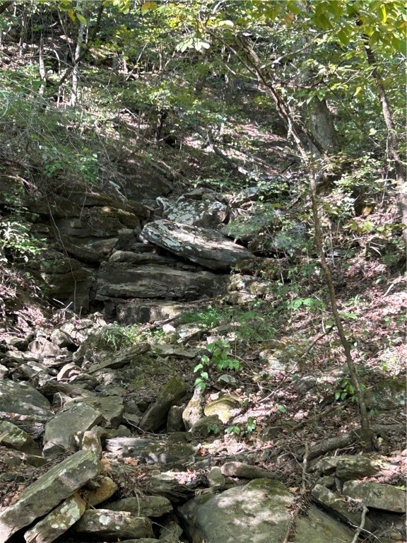 Image 15