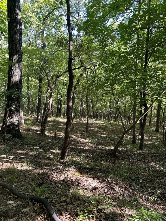 Image 9