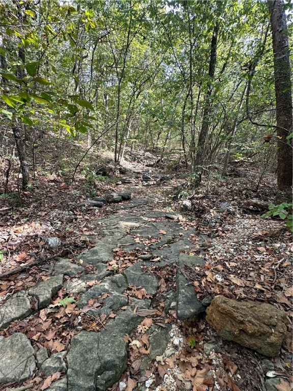 Image 12
