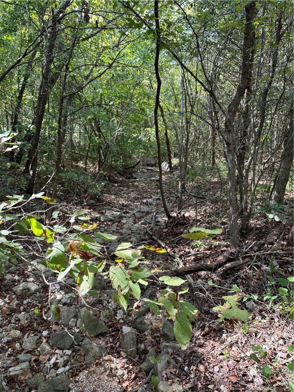 Image 13