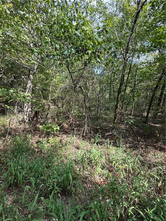 Image 14